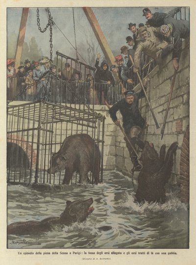 An Episode of the Seine Flood in Paris, the Bear Pit Flooded and the Bears Rescued with a Cage by Achille Beltrame